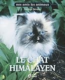 Chat Himalayen