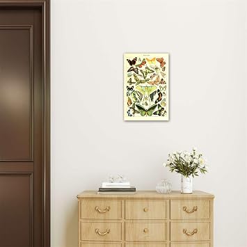 Poster Print Art Butterflies of the World Breeds Collection Butterfly