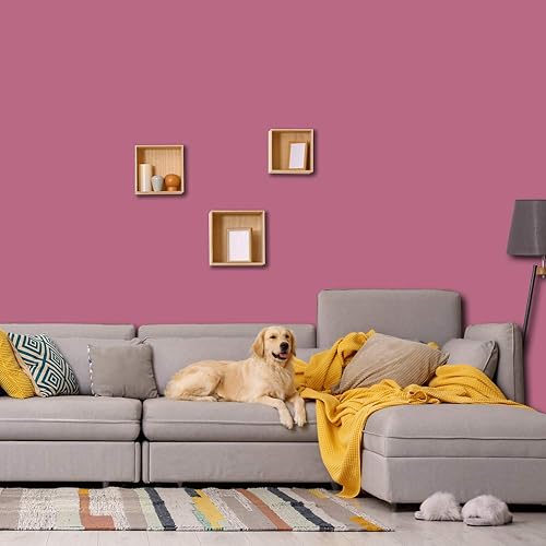 Miniatura 9 de Prestige Paints - Pintura exterior e imprimación en uno, 1 galón, plano, P500-P-A023GP