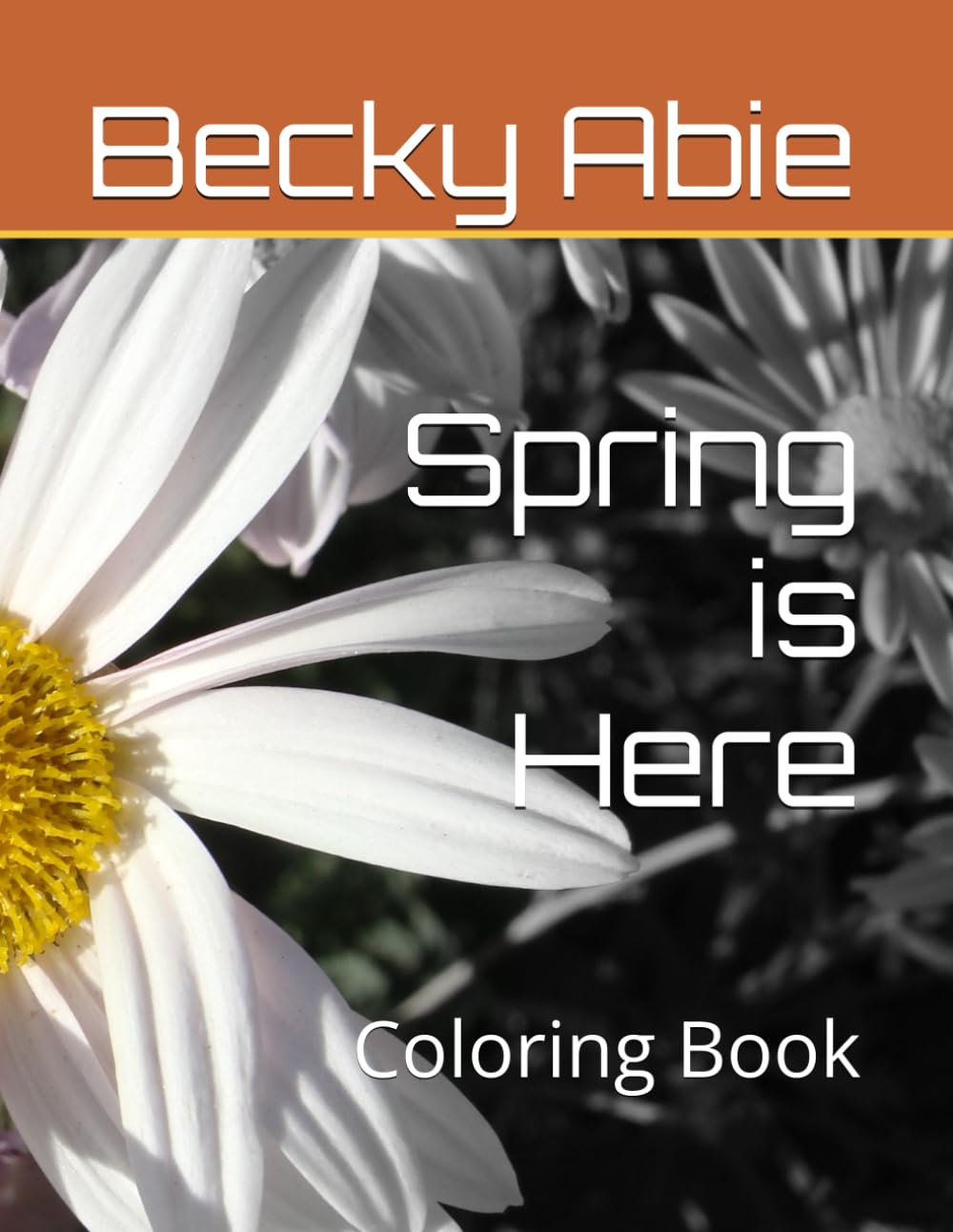 Spring is Here: Coloring Book