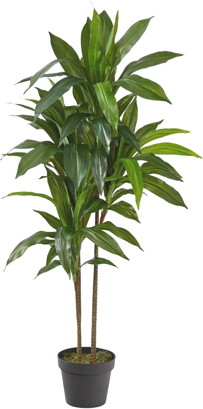 Nearly Natural 48in Artificial Dracaena with Real Touch Leaves and Multi Tonal Trunks, Large Indoor Silk Plant with Pot, Maintenance Free For Living Room And Home Office Decor