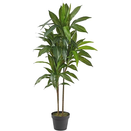 Nearly Natural 48in. Dracaena Artificial Plant with Green Real Touch Leaves - Lifelike Indoor Décor