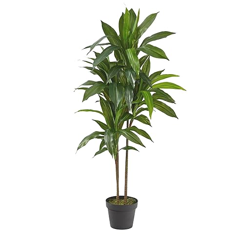 Nearly Natural 48in Artificial Dracaena with Real Touch Leaves and Multi Tonal Trunks, Large Indoor Silk Plant with Pot, Maintenance Free for Indoor Living Room and Home Office Decor