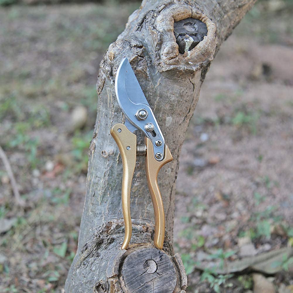 Cesoie per Alberi, cesoie da potatura, cesoie da Giardino Cesoie per Rami, cesoie per potatura a Mano, Nere