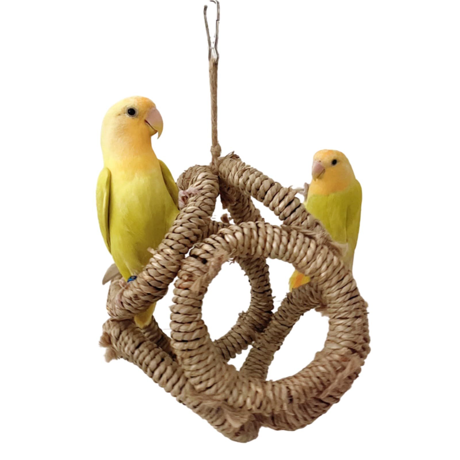 Bridge Perch,Bird Perch Nature Branch Rings for Parrots Conure Supplies Budgies Swing Scratchers for Small Medium Parrots Rack Toy