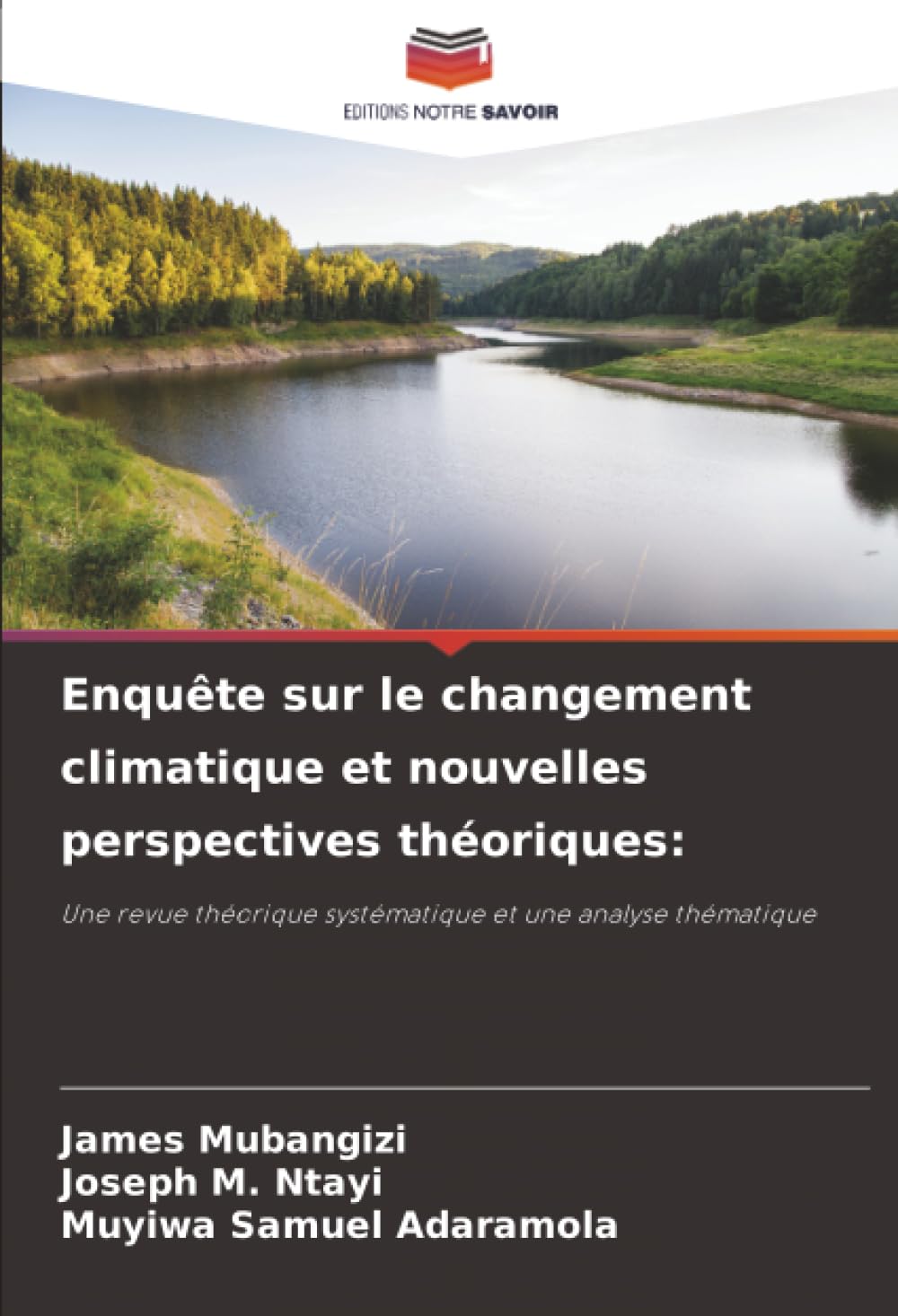 Enquête sur le changement climatique et nouvelles perspectives théoriques:: Une revue théorique systématique et une analyse thématique