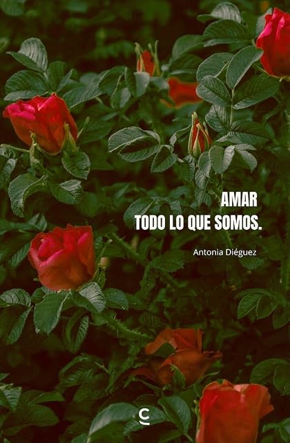 Portada de Amar todo lo que somos