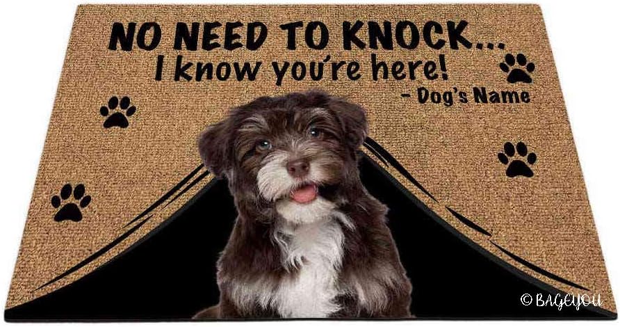 BAGEYOU Personalized Dog's Name Doormat with My Love Dog a Beautiful Smiling Dark Chocolate Havanese Puppy Dog Welcome Floor Mat No Need to Knock I Know You're Here 23.6 X 15.7