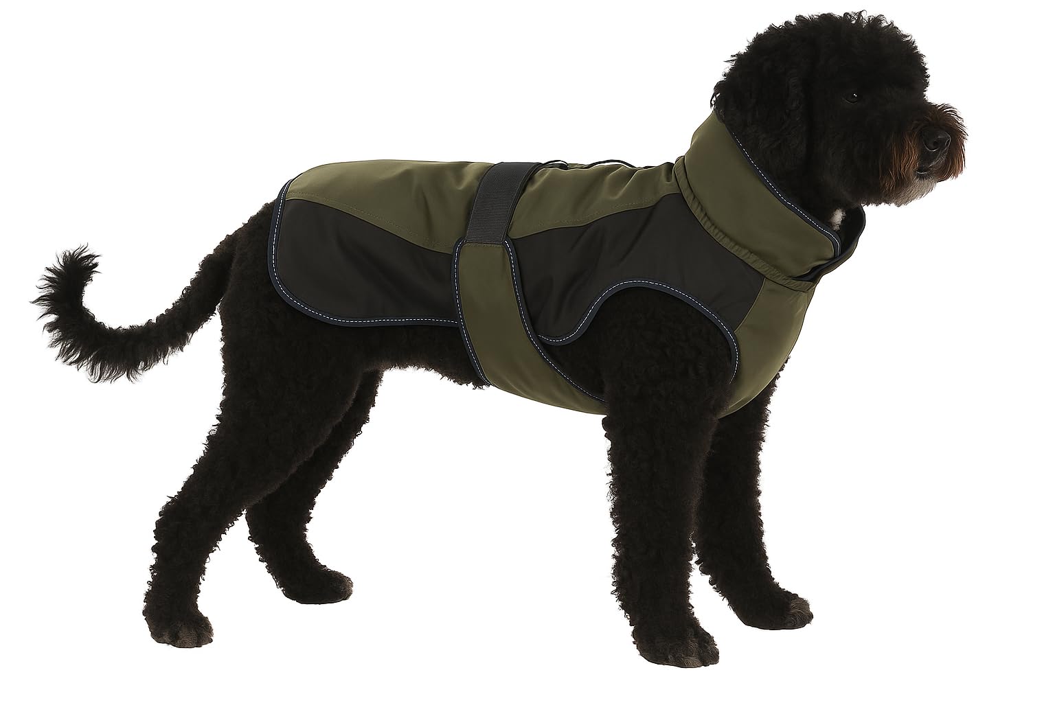 Flamingo WINTER COAT EISBERG KHAKI/DARK BLUE 55CM