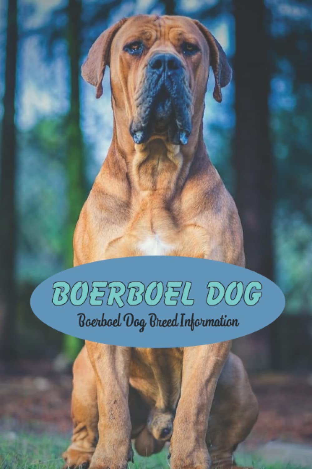 Boerboel Dog: Boerboel Dog Breed Information Paperback – 25 February 2022