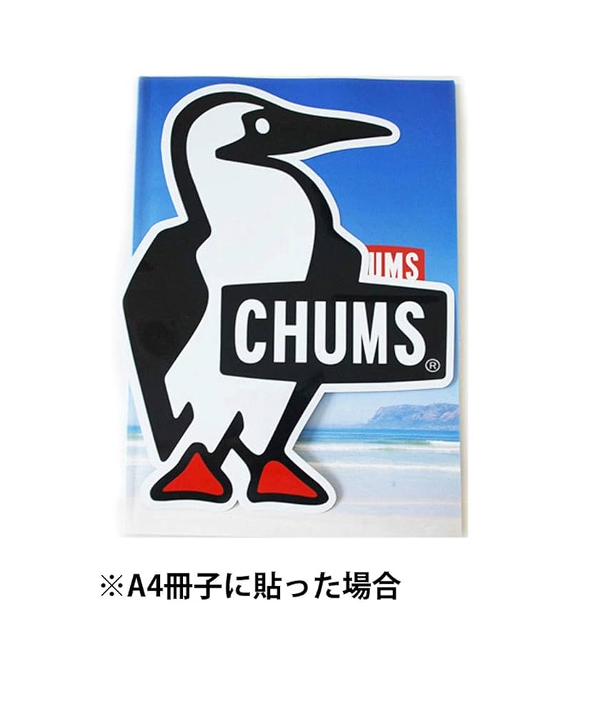 ちむ☺︎品です BEAMS T（ビームスT）【8/7値下げ】TACOMA FUJI RECORDS