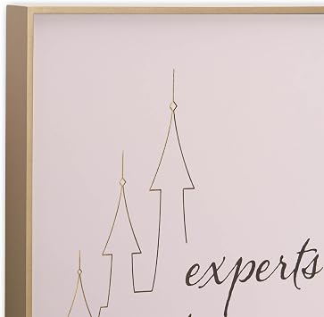 Disney Princess Experts in Elegance Castle Framed Wood Wall Decor | Beautiful Princess Wall Art for Home