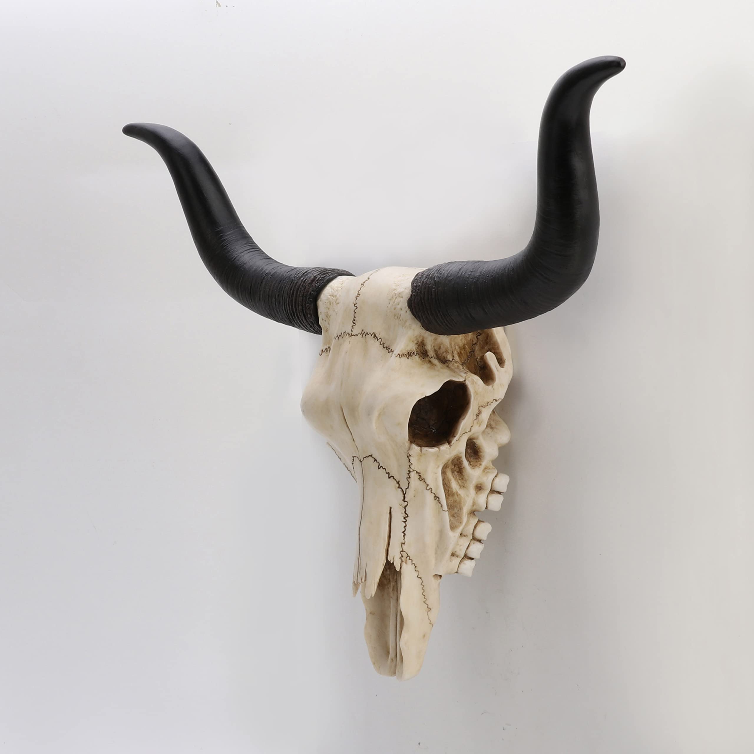 Veronese Design14 Inch Long Horn Animal Skull Resin Wall Sculpture