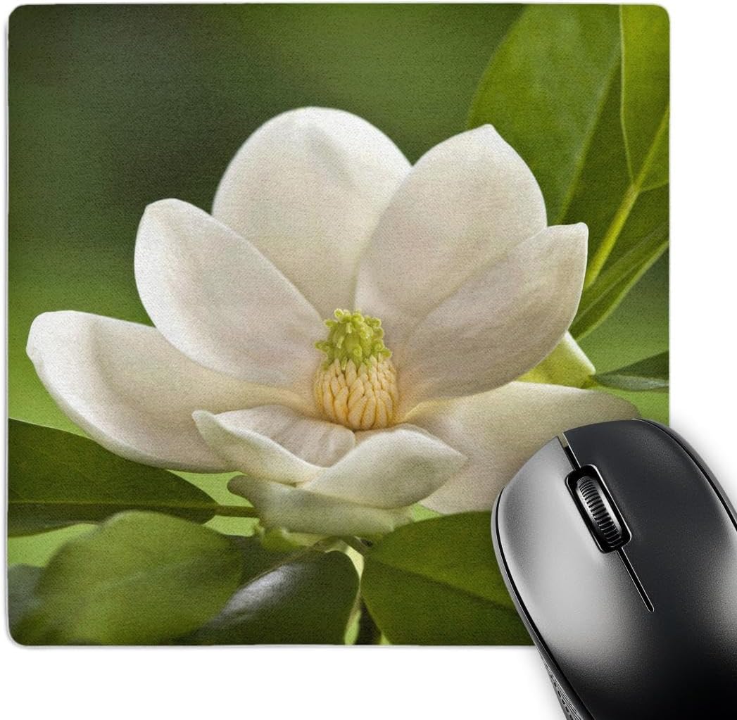 3dRose LLC 8 x 8 x 0.25 Magnolia Tree Flower Blossom Adam Jones Mouse Pad (mp_83297_1)