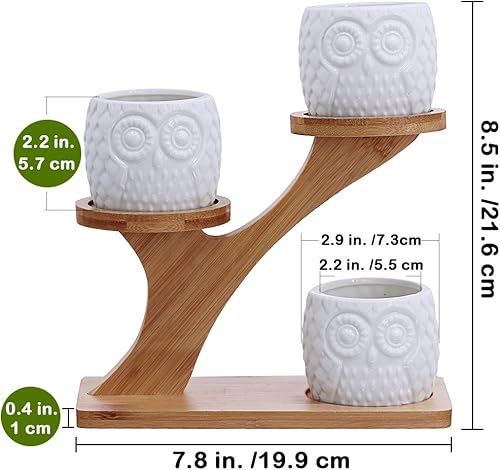Miniatura 6 de Suculentas, 3 macetas de búho, soporte con 3 niveles de bambú, blanco, moderno, decorativo de cerámica, maceta de flores, maceta con drenaje para el