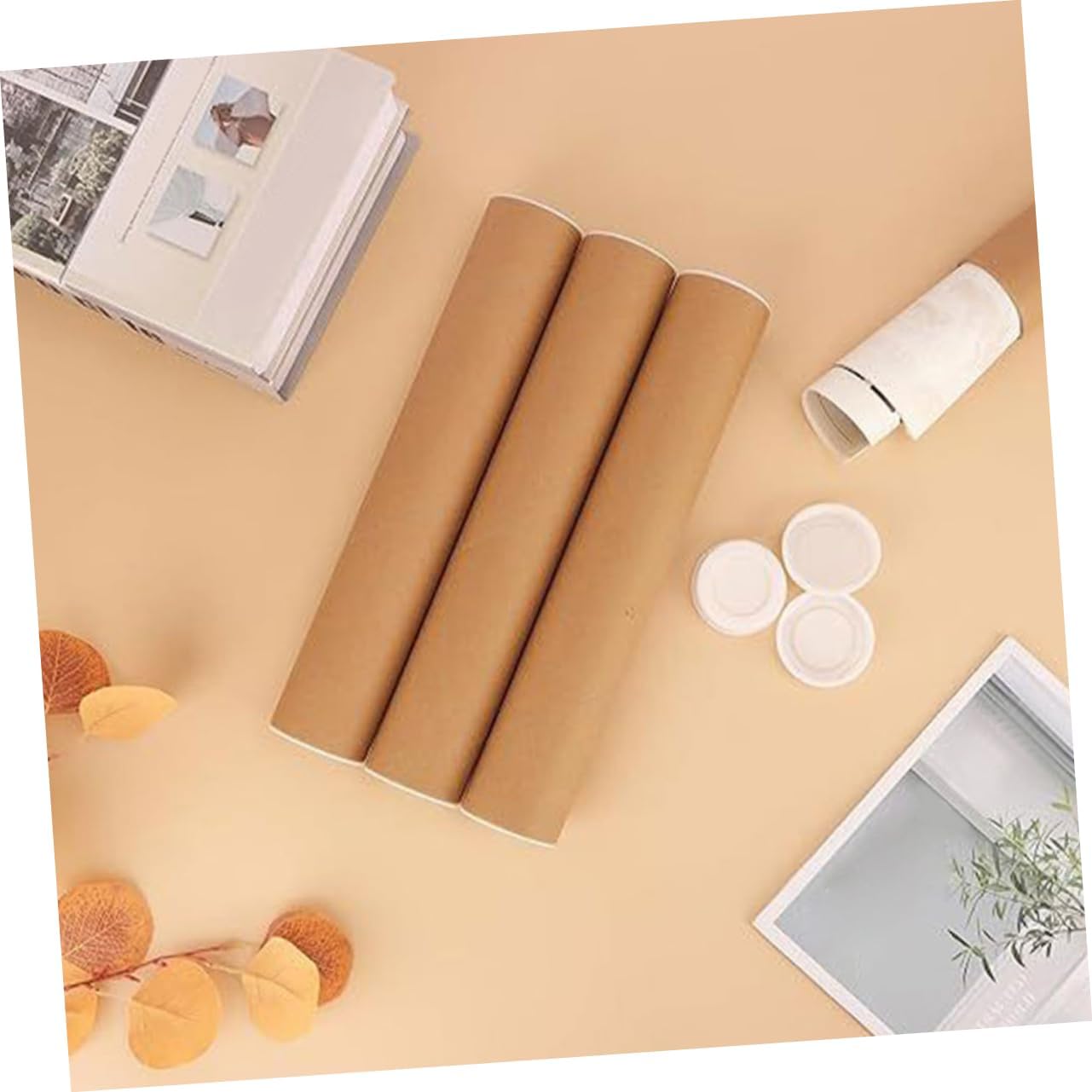 Cabilock 2 Pack Artwork Storage Tubes with Caps for Documents and Art