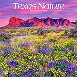 Texas Nature | 2026 12 x 24 Inch (Hanging) Monthly Square Wall Calendar | Plastic-Free | BrownTrout | USA United States of America Southwest State Wilderness