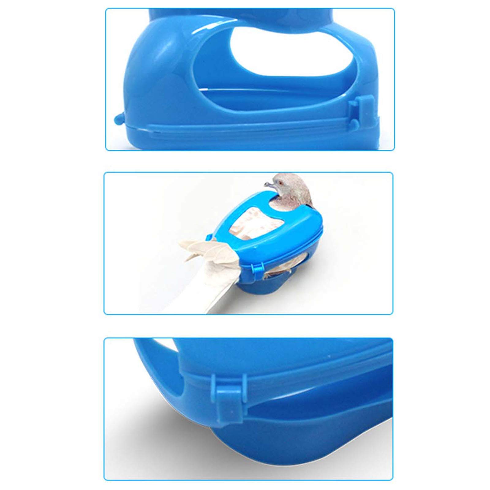 Porte-Pigeons Polyvalent Dove Fixateur d'injection de Vaccination spécial Support de Pigeons Pratique Bleu