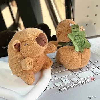 HyukeenMa 6Pcs Capybara Keychain,Capibara Gift Stuff And