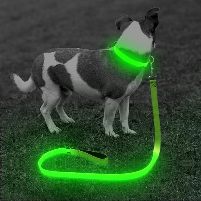 BSEEN LED Lighted Dog Leash USB Rechargeable Nylon Puppy