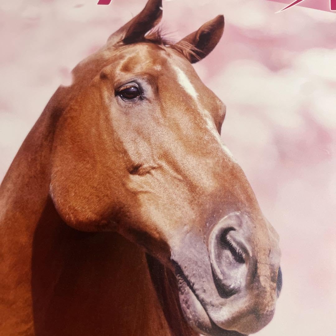 競馬リバティアイランド　特大ポスター桜花賞B1サイズ728mm×1030mm 競馬リバティアイランド 特大ポスター桜花賞B1サイズ728mm