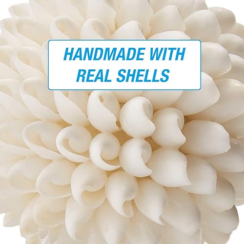 Miniatura 3 de Tumbler Home Esfera de concha marina blanca real, 3 pulgadas de ancho, decoración de estante de casa de playa, bolas decorativas costeras para