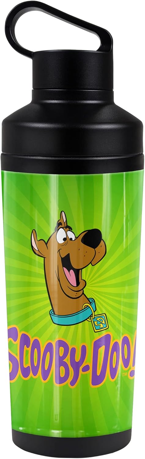 Scooby Doo! OFFICIAL Coin Purse 18 oz Insulated Water Bottle, Leak Resistant, Vacuum Insulated Stainless Steel with 2-in-1 Loop Cap