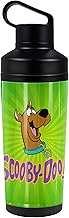 Scooby Doo! OFFICIAL Coin Purse 18 oz Insulated Water Bottle, Leak Resistant, Vacuum Insulated Stainless Steel with 2-in-1 Loop Cap