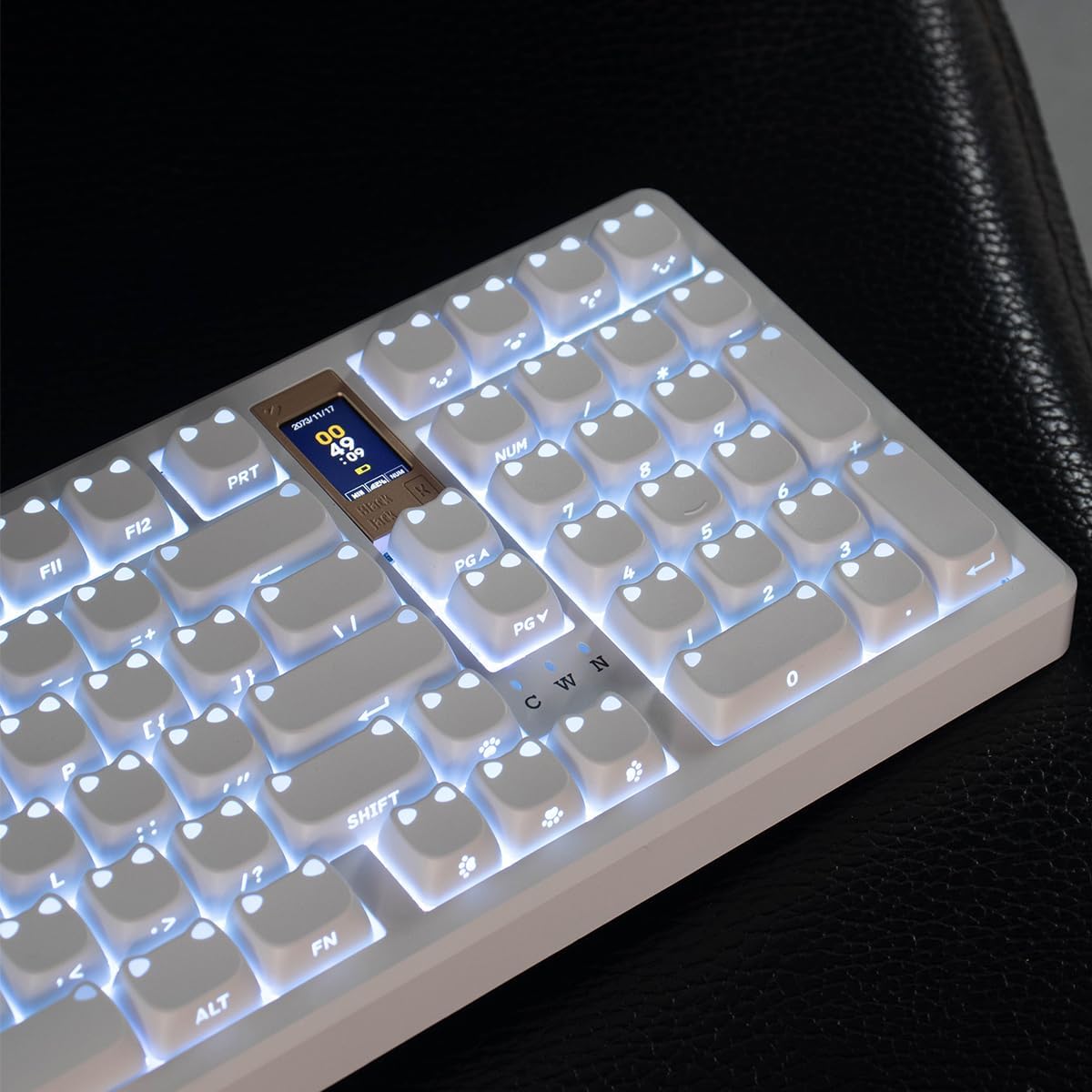 Side Print Cat Keycaps, MAO Profile PBT Shine Through Keycaps Set, 113 Keys