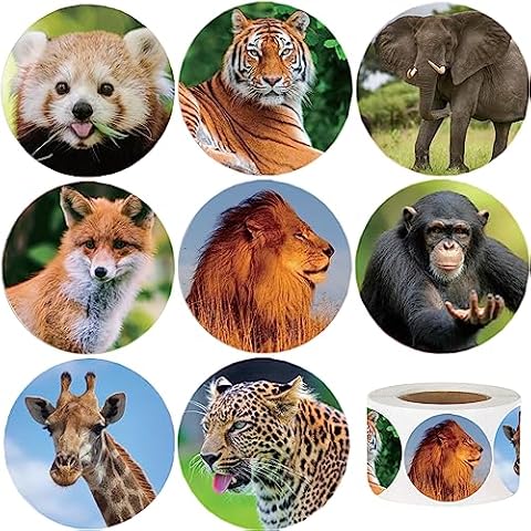 Hohamn 600 Pcs Zoo Animals Stickers for Kids, 1.5 Inch Round Jungle Animal Stickers for Boys Girls Birthday Party Favor Gifts Decoration Teachers Student Classroom Reward Cover