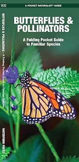 Butterflies & Pollinators (Nature Observation North America)