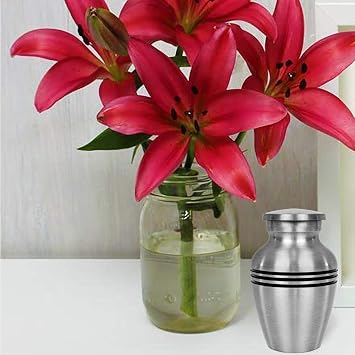Trupoint Memorials Cremation Urns for Human Ashes, Funeral Memorial Urn for Male and Female, Decorative Burial Metal Urn Collection for Adult Men & Women - Silver Lining, 4 Keepsakes