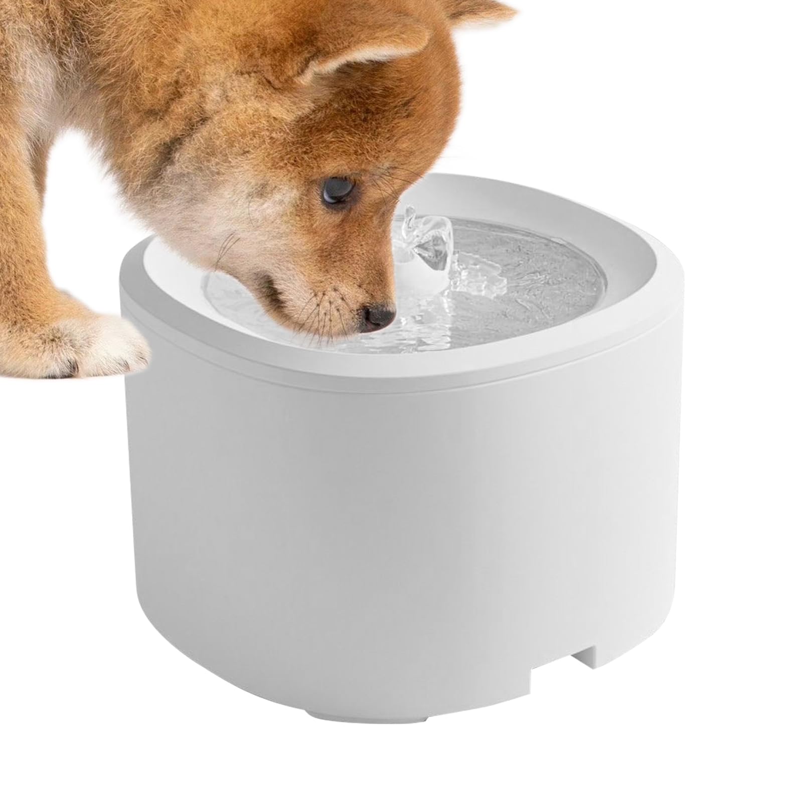 Fontaine à eau pour animaux de compagnie filtrée 3L pour vacances