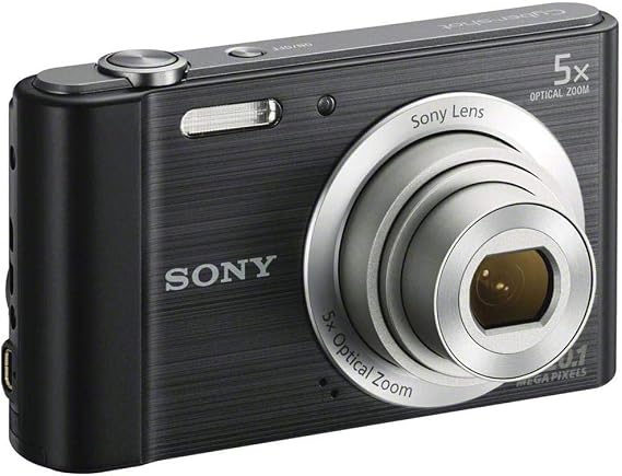 Sony DSCW800/B 20.1 MP Digital Camera (Black)