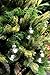 SparkleStyle Clear Round Glass Christmas Tree Baubles Spheres Ornaments, 6 cm in diameter (12-Pieces)