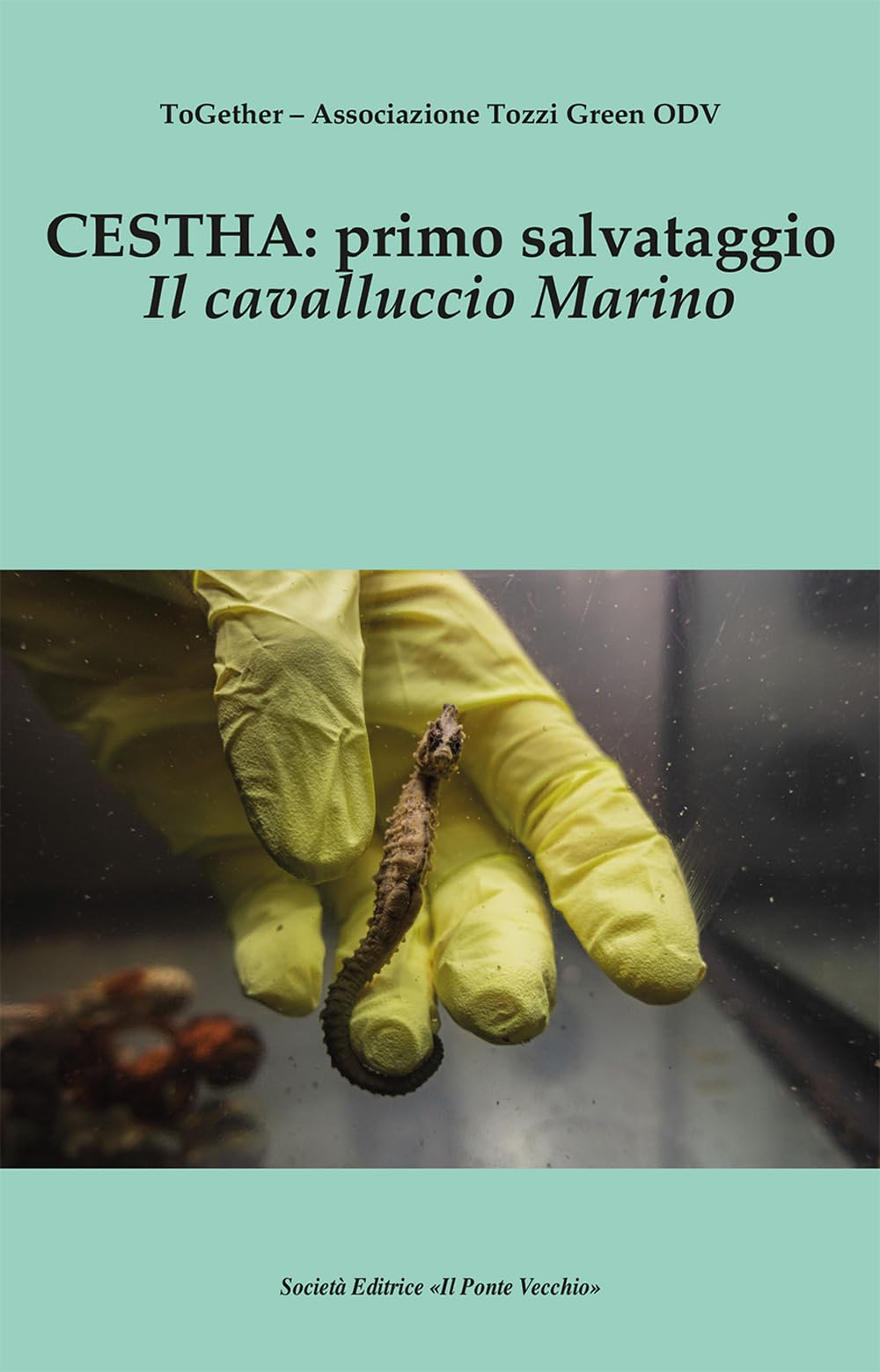 Cestha: Primo Salvataggio. Il Cavalluccio Marino - 4