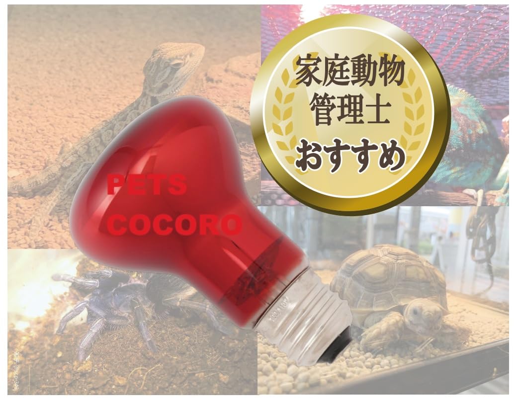 ☆ ウォームポイント 赤外線照射スポットランプ 40W E 換対応 １個 423 Amazon.co.jp: 【ウォームポイント】赤外線照射スポットランプ 60W E26