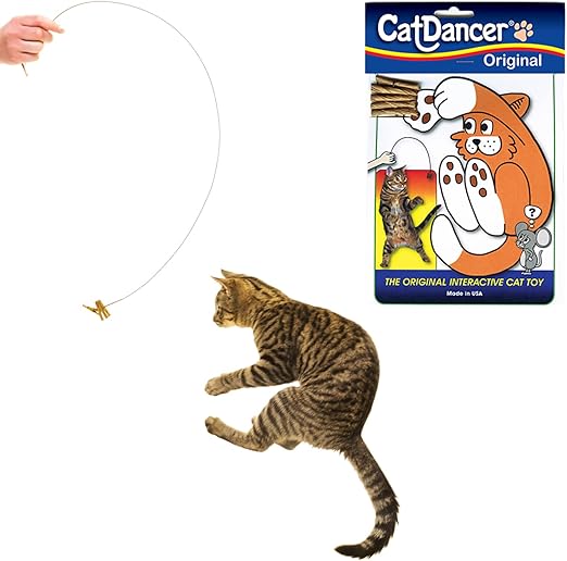 Cat Dancer 101 Cat Dancer Interactive Cat Toy Amazon.ca Pet Supplies