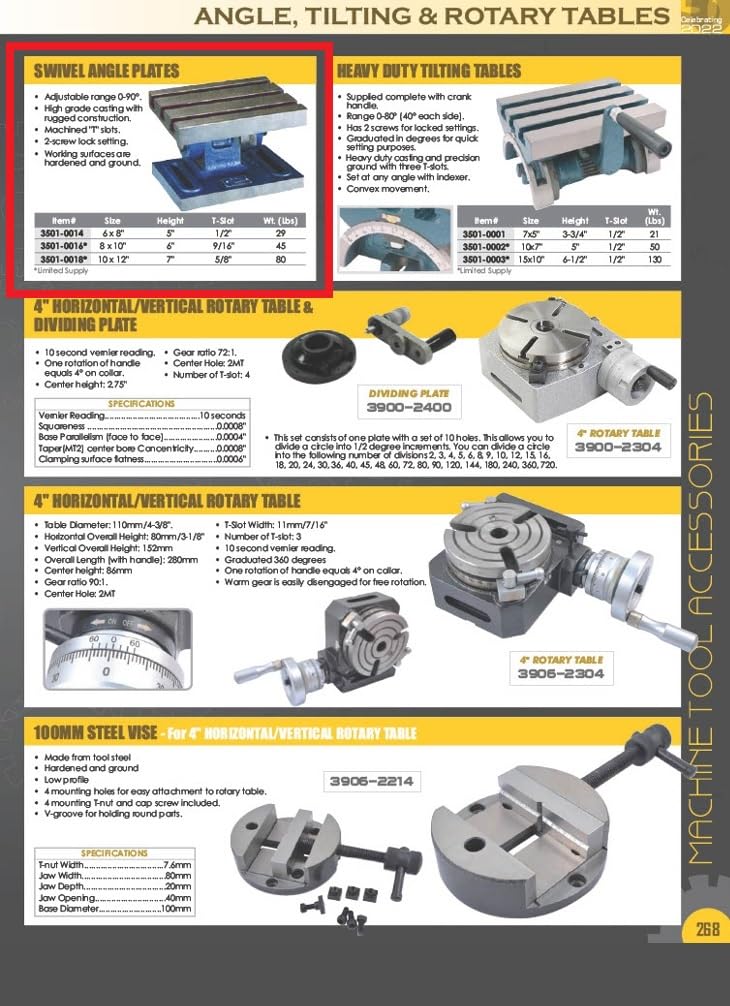 法螺貝 38.5cm (直線) 綺麗