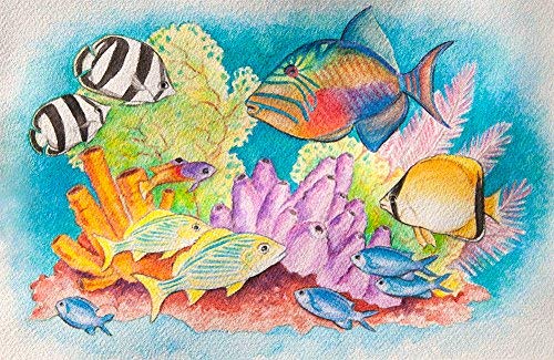 image for Color Swell Bulk Watercolor Paint 10 Pack with Wood Brushes 8 Washable