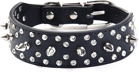 diamond studded collar