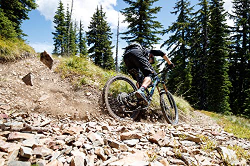 Wtb Vigilante 2.6 27.5" Tcs Tough/Fast Rolling Tire, Black #TOP3