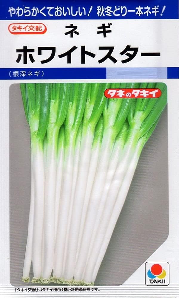 最大86 オフ 根深ネギ ホワイトスター タキイ交配 ペレット種子 0粒 野菜種 葱 春まき 秋まき 最大86 オフ 根深ネギ ホワイトスター タキイ交配 ペレット種子 0粒 野菜種 葱 春まき 秋まき