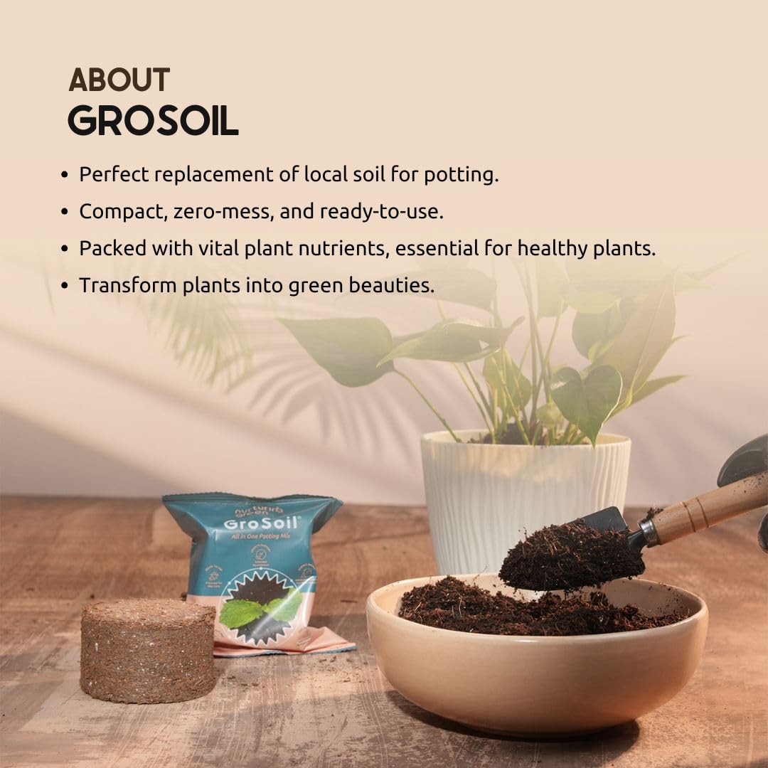 Nurturing Green® GroSoil - All in One Compressed Potting Mix for Plants (115gms x 5 Packs) | Universal Soil Blend with Essential Nutritions | Eco-Friendly & Nutrient-Rich Mix for Healthy Plant Growth - Image 3 thumbnail