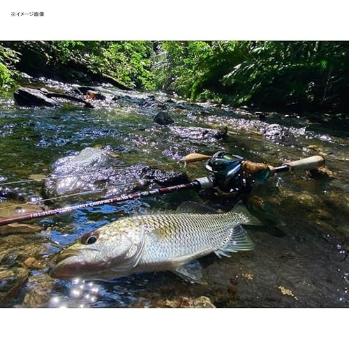 フィッシュマン BC4 5.10L ブリストコンパクト 5枚目