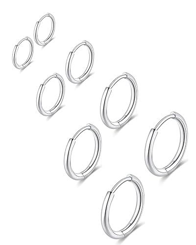 Silver Hoop Earrings