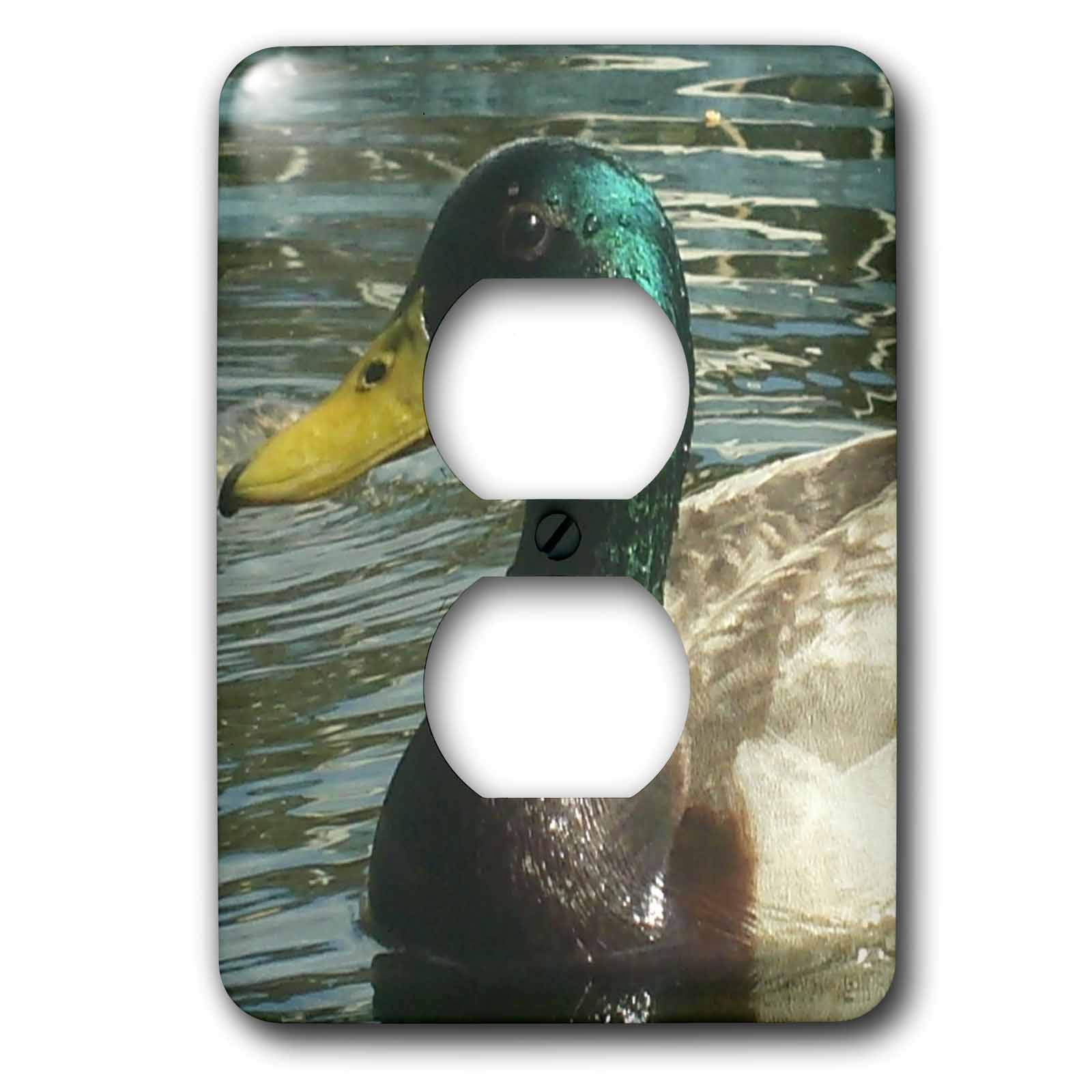 Canard colvert capot de sortie 2 prises murales lsp_22251_6 faune