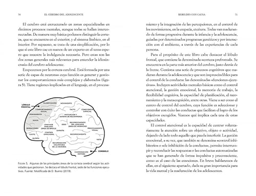 El Cerebro del Adolescente: Descubre Cómo Funciona Para Entenderlos Y Acompañarl OS / The Teenage Br