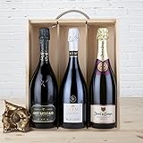EUROLOTES Cava Brut Reserva Gift Set, MIM Blanc de Noirs, Juvé & Camps Cinta Púrpura, Agustí Torelló Mata, 3 Botellas