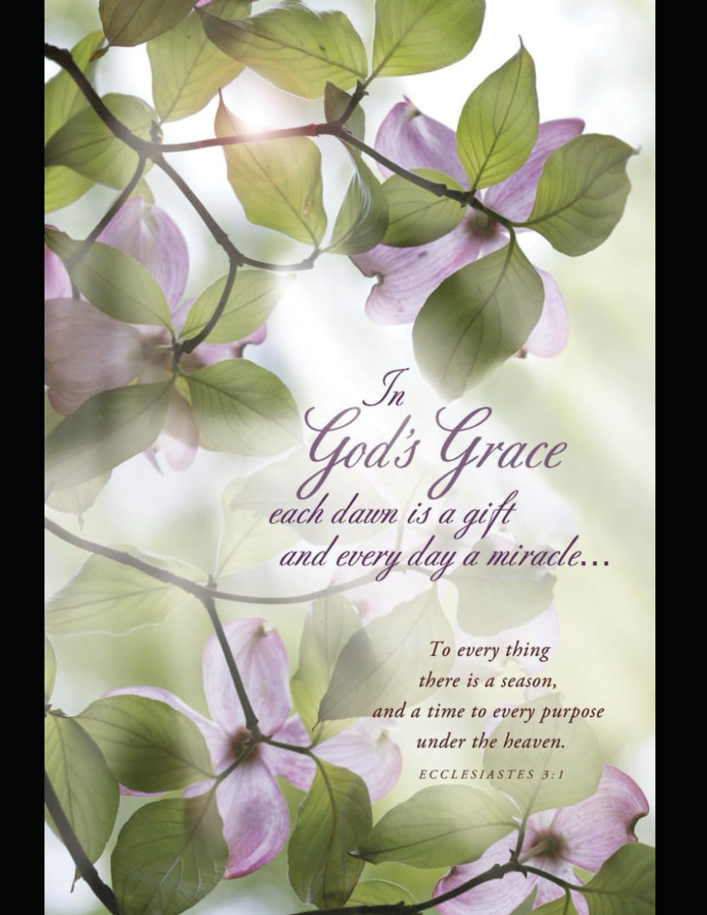 Living Faith, Putting Faith in Action Part Two: God's Story